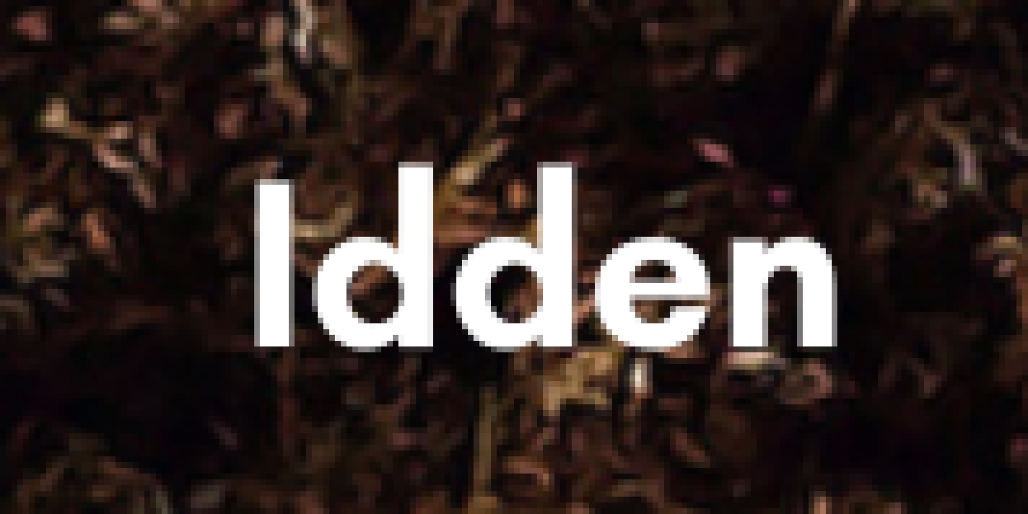 Sustainable Lab (Idden)