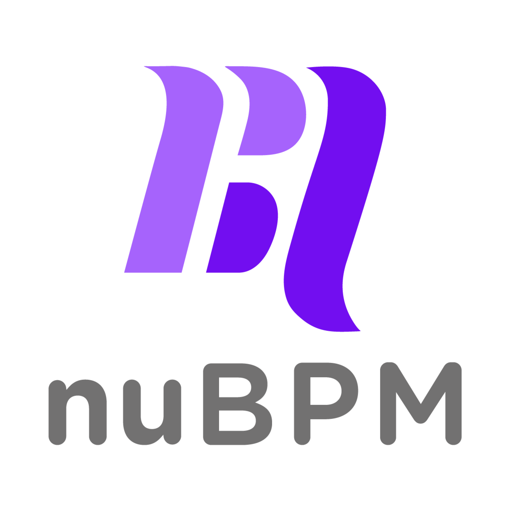 nuBPM 流程管理系統